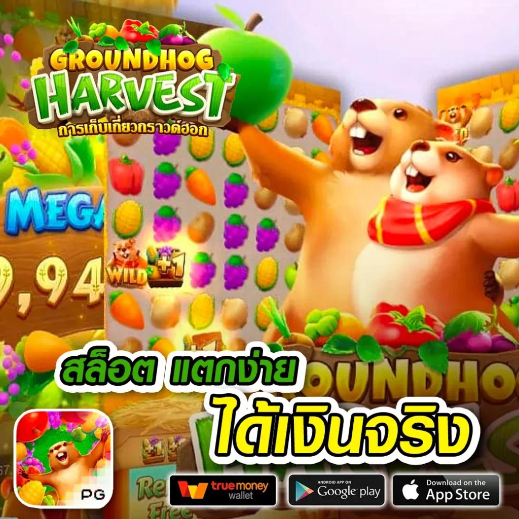 Goldenslot เว็บคาสิโนออนไลน์สุดฮิต มั่นใจทุกการเดิมพันมั่นคงปลอดภัย