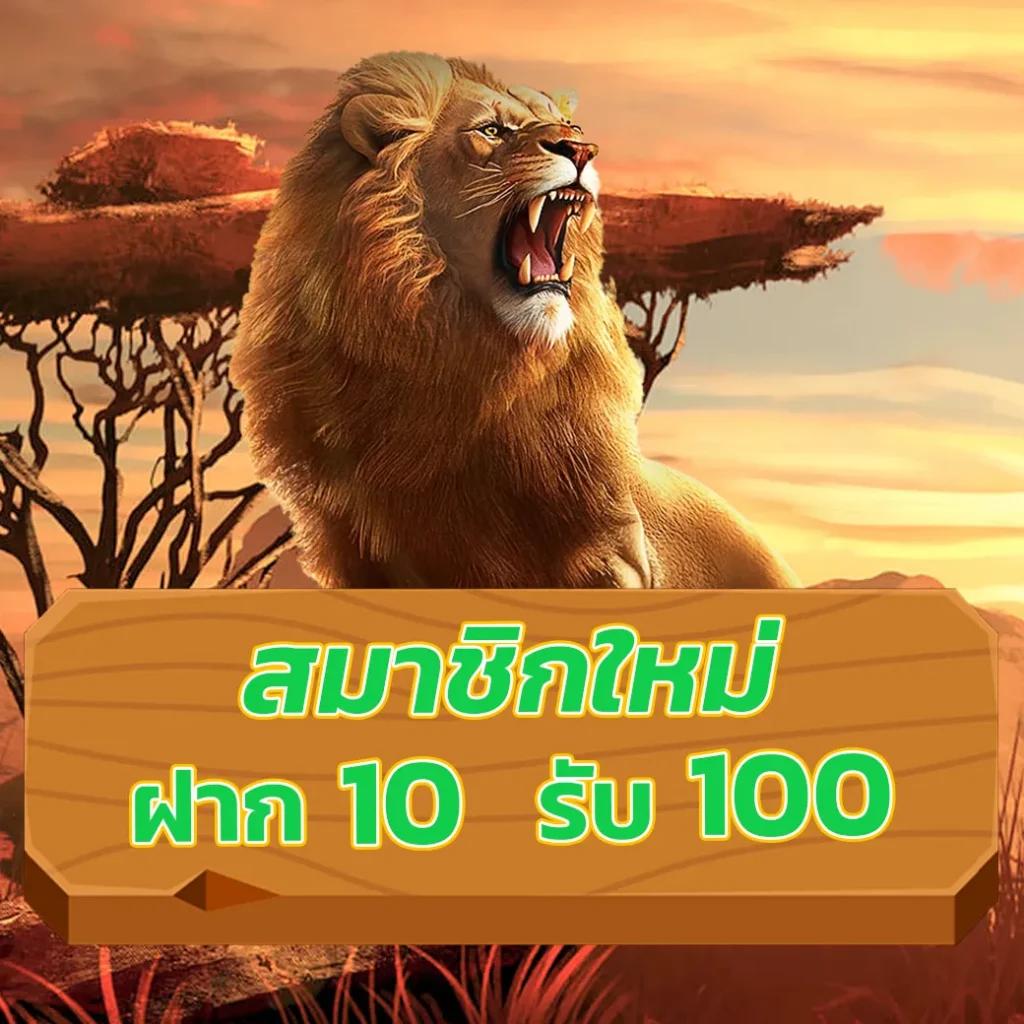 ยูฟ่าพรีเมี่ยม เว็บเดิมพันที่นิยมที่สุดในไทย ระบบทันสมัย ประสบการณ์เหนือระดับ
